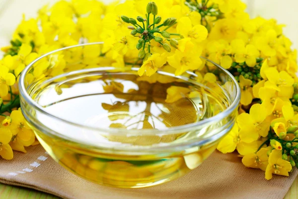Rapeseed Oil Price in Poland Declines Notably to $1,502 per Ton
